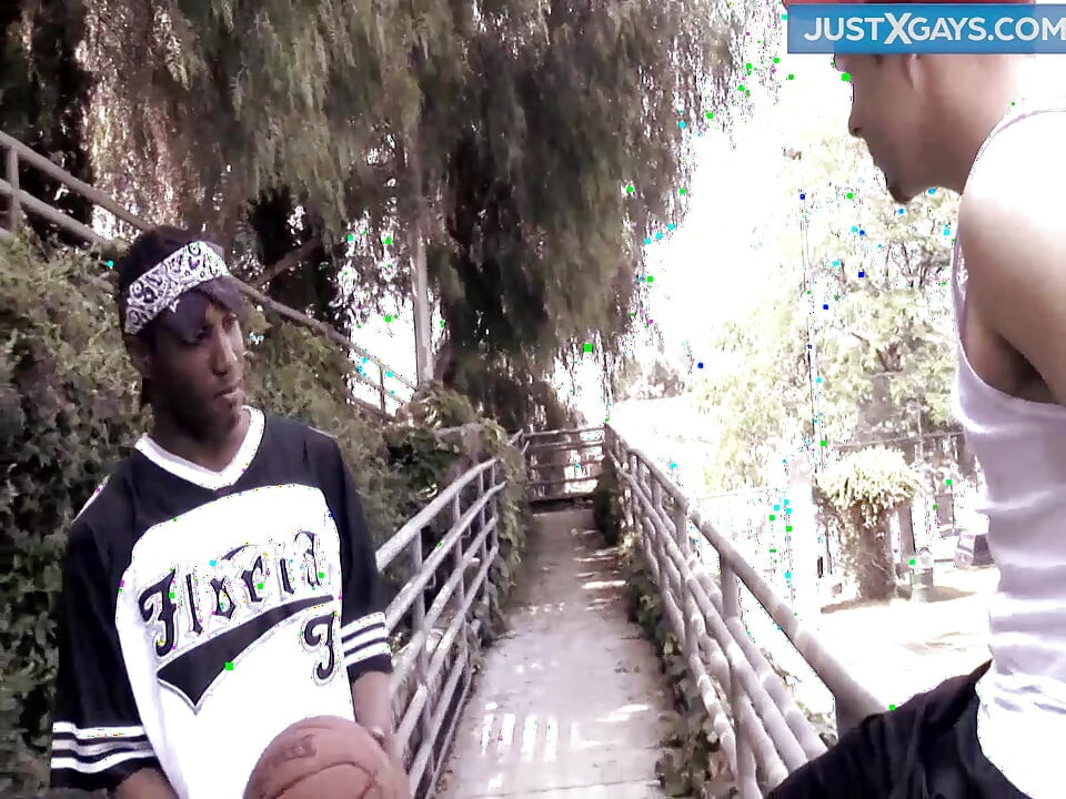 Crni i bijeli homoseksualci se zabavljaju