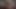 3D futa BJ compilation
