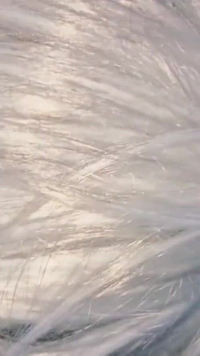 高速道路で見知らぬ男が近づいてきて、車の中で私を犯し、肛門に精液をしました | クリップ 1