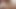 ヘイリーは、ただセックスしたくなるジューシーなお尻を持っている