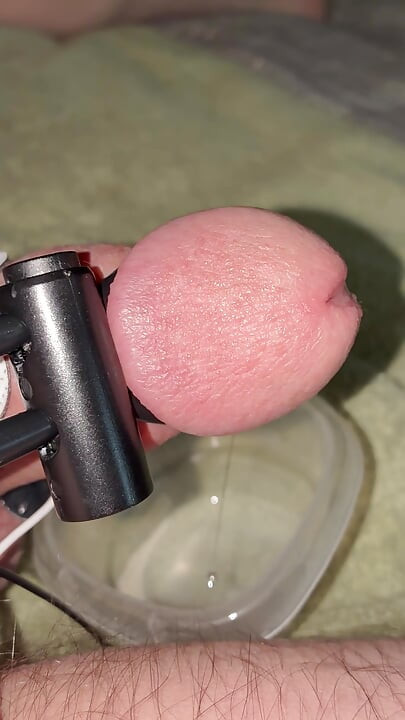 Precum drool