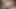 Secretdreamsfuta Trans Whore Being Unfaithful to Her Cuckold Husband, Destroying Her Dirty Pussy with a Succulent and Huge Cock