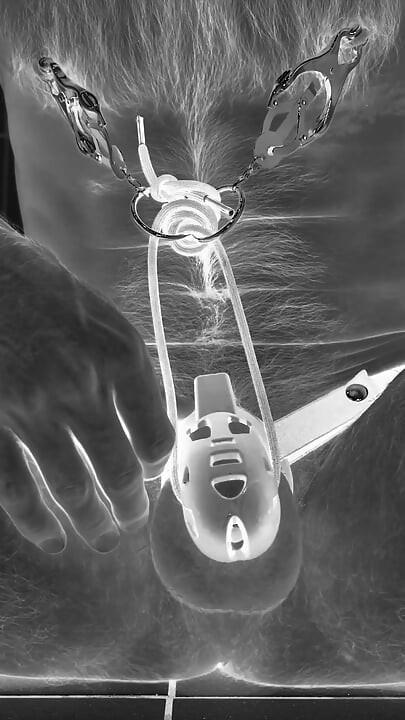 Multiple ruined orgasms in chastity cage with 30cm long penis plug