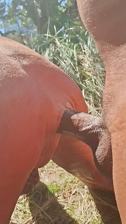 Key West taking Pedros huge cock in the grassy area at the beach