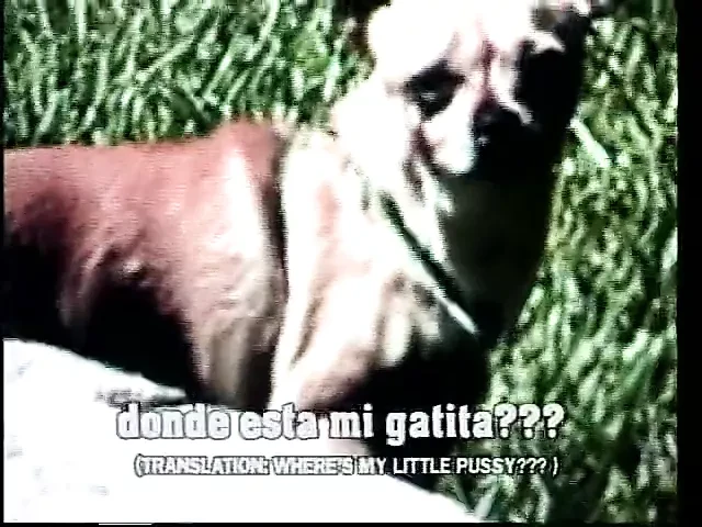 Dal kenya con passione !!! - vol. # 09