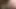 Three guys cum in the woods