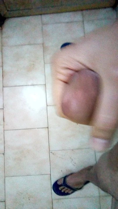 완벽한 즐거움