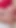 Ariel Dixon ve Chloe Rose ve Lily Flower ve Violet Starr