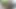 Kahretsin - utangaç, ama sonunda çıplak poz veriyor