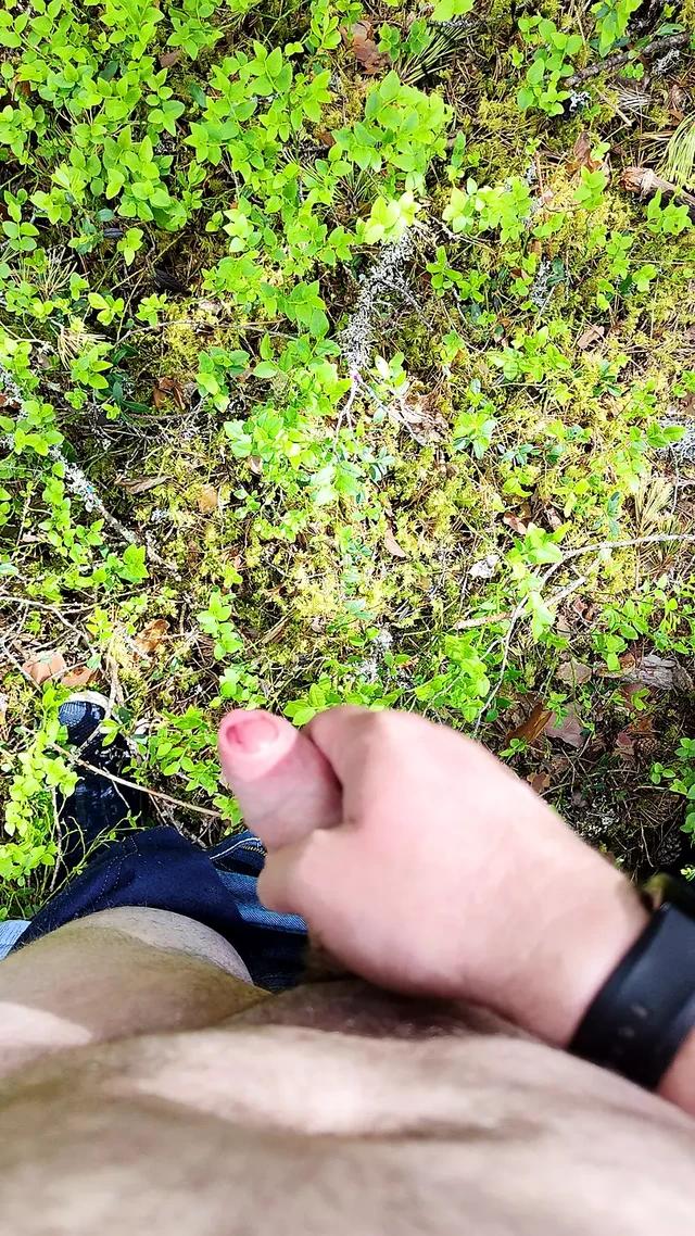 Horny in Forest