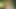 Allblackx - büyük memeli dövme kraliçesi Halle Hayes - efsanevi 42 inçlik götle ilk anal seks