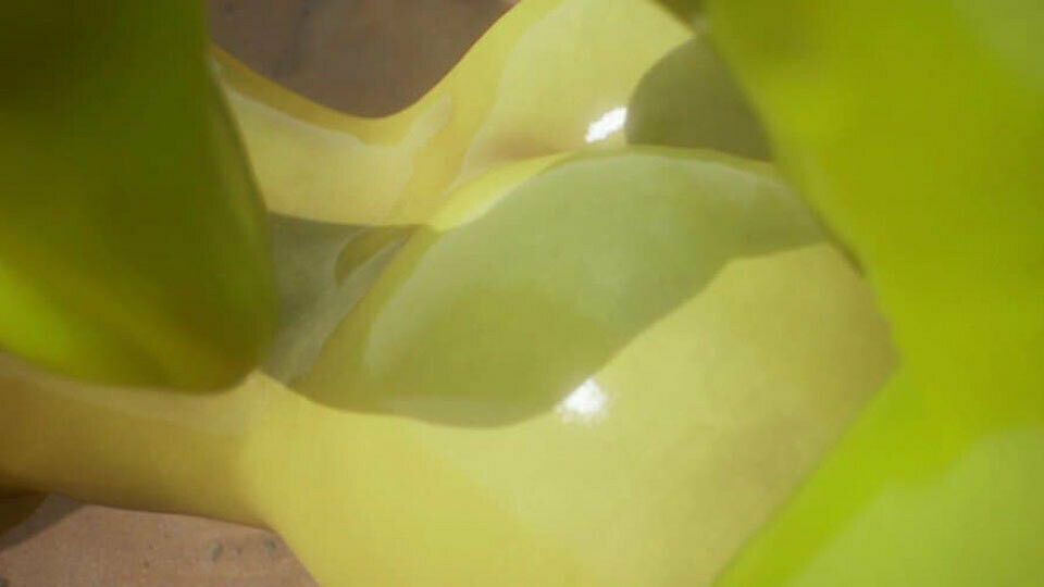 WILD LIFE, PERFECT HOT HARD SEX, INTENSE TASTY PLEASURE
