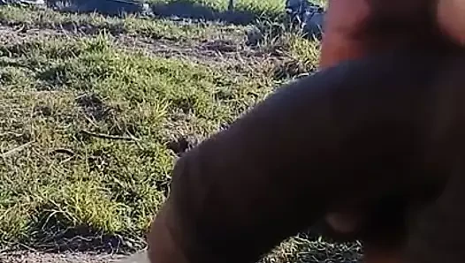 Orinando hoy al aire libre