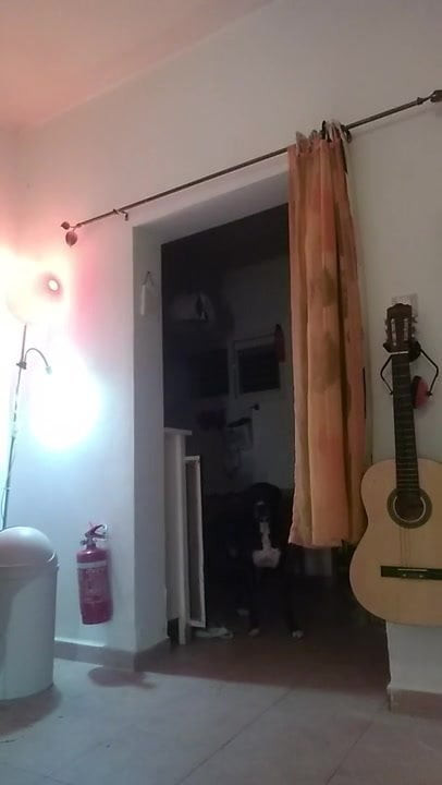 SSS