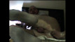 Pratinjau video