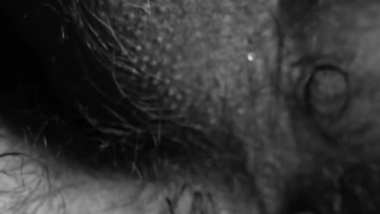 Hairy Otter & Felipe Ferro