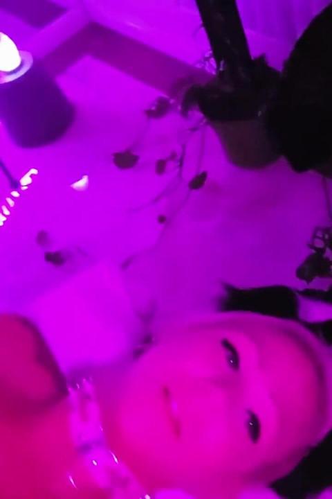 Pretty Party Smokey Kitty