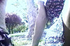 Pregled videozapisa