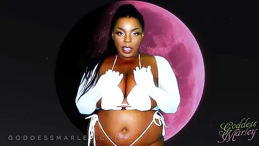 BETA CODE: SPH BREAKDOWN - SPH, Ebony Femdom, JOI