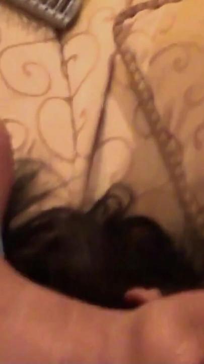 Real Amateur no Condom Sex at Thailand Holiday Trip with Asian Girl by German Tourist filmed with Iphone | Clip 1