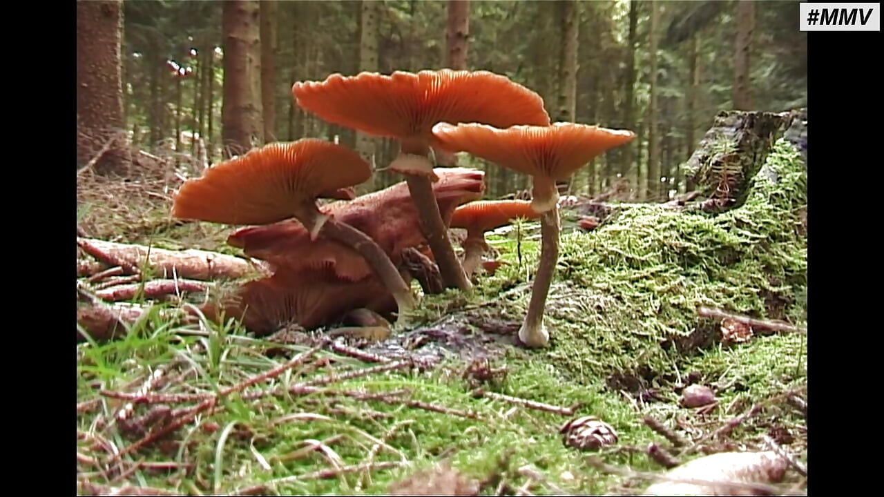 ドイツ緊縛 - 巨乳奴隷熟女