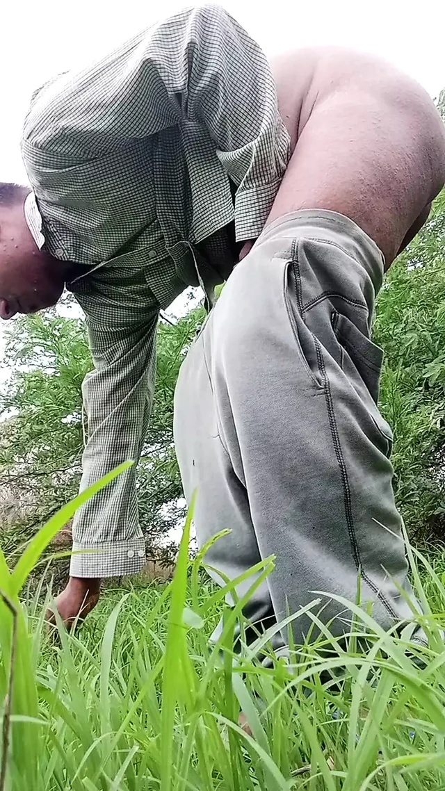 Jangal me mangal