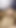 Throbbing cumshot in a hairy belly
