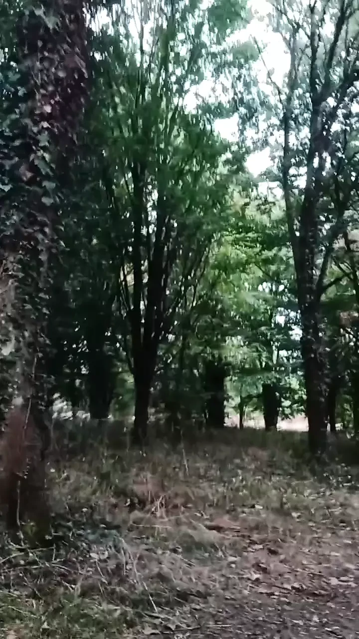 प्रदर्शनी au camping