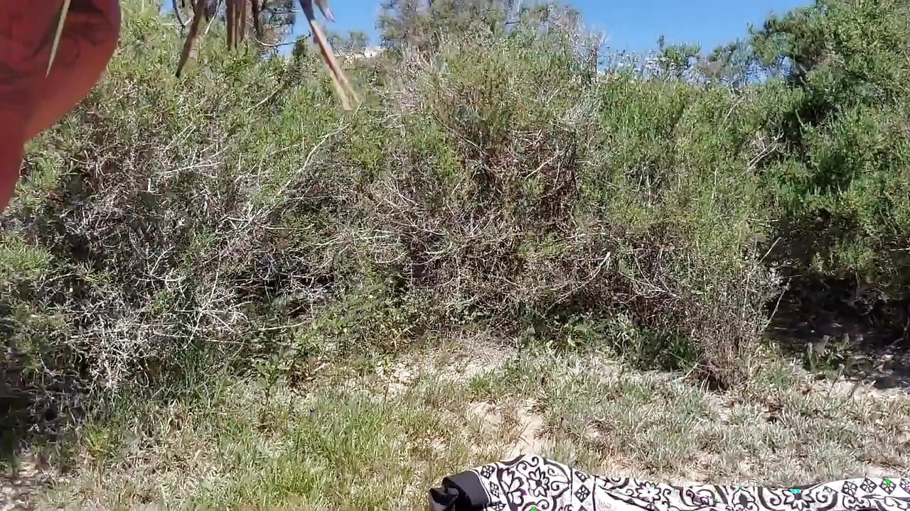 A Good Bitch Fucked on the Beach