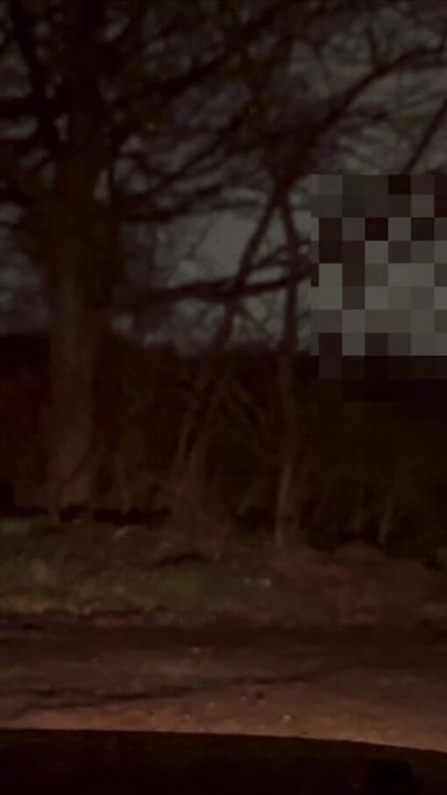 Totally naked in view of people wanking and showing my hole | Clip 1