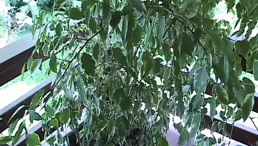Bi dude gives a blowie and gets his ass hole fucked by a huge pole