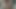 プレミア映画