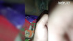 Pregled videozapisa