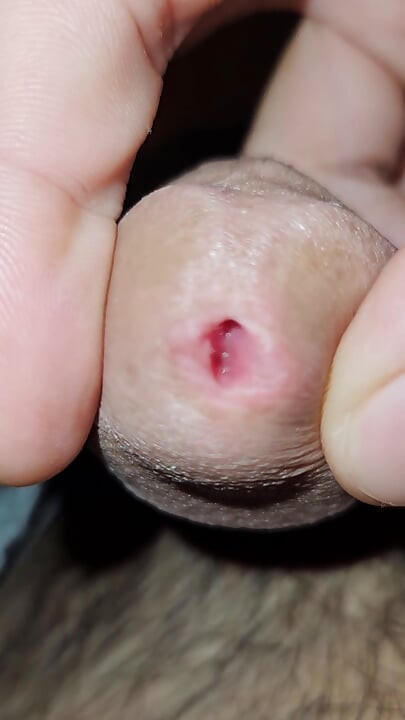 Cock Inspection