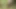 Tacos: the Wife Got Her Pussy Fingered by Her Boss and Her Husband Got Blowjob in the Park From Random Girl - Episode 10