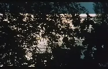 Histoire dQ (1975)