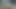 アジアン・エンジェル 28192