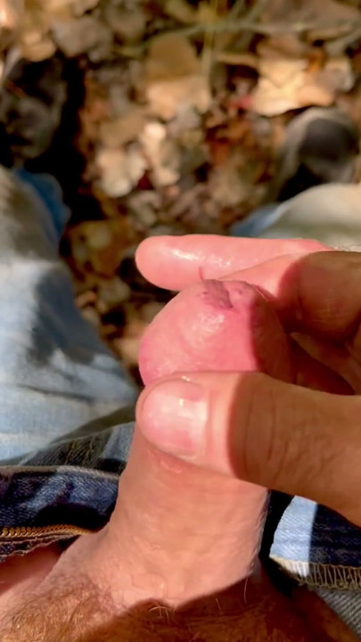 Playing with tiny Tim in the woods | Clip 2