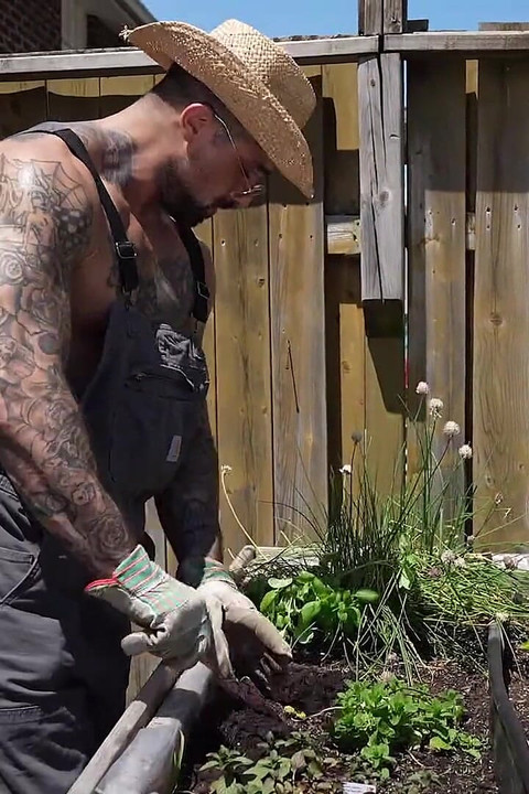 シャフトの上のセクシーなエルフマガジン