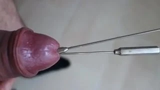 Sounding, Urethra filled with 2 Rosebud Dilators