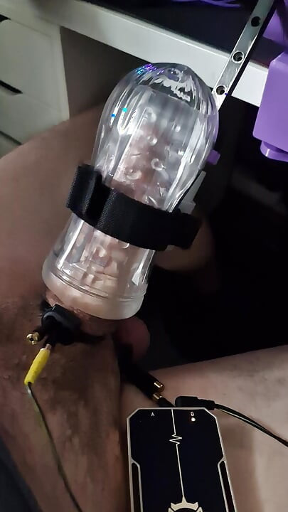 Milked and E-Stimmed