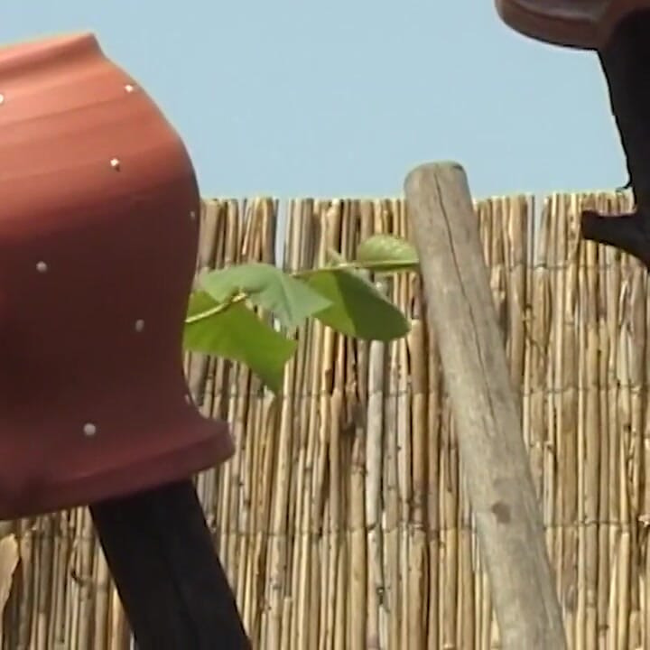 82 years old Stepmom outdoor fucked