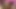 Sevimli genç bir busty milf içinde bir seks shop test ederek yardımcı olur