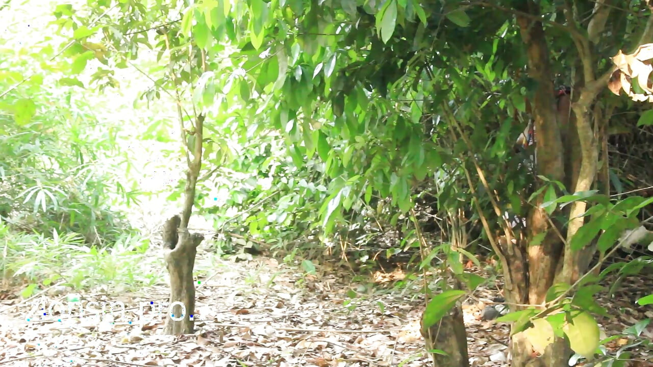 Very Black Man From Uganda Fuck Teen Big Boobs Girl Friend in Their Farmland