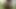 amai liu