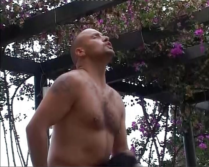 Luksuzni clique sa divljim seksom na otvorenom