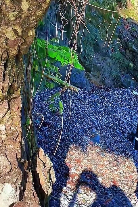 Jebanje na plaži pod suncem
