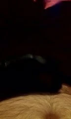 POV Me wanking my cock wearing leather gloves