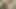 German African Black Teen Makes First Sex Casting
