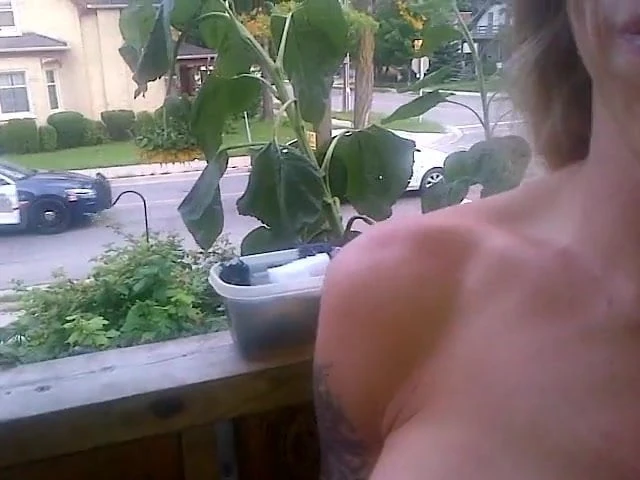 'sunshine' Bee keep stripping